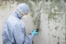 Biohazard Mold Removal in Paisley, FL